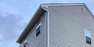 Best Custom Siding Design  in St Augusta, MN